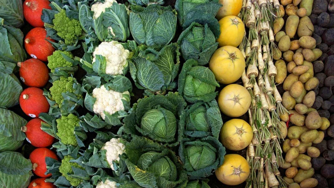 K Vitamini
