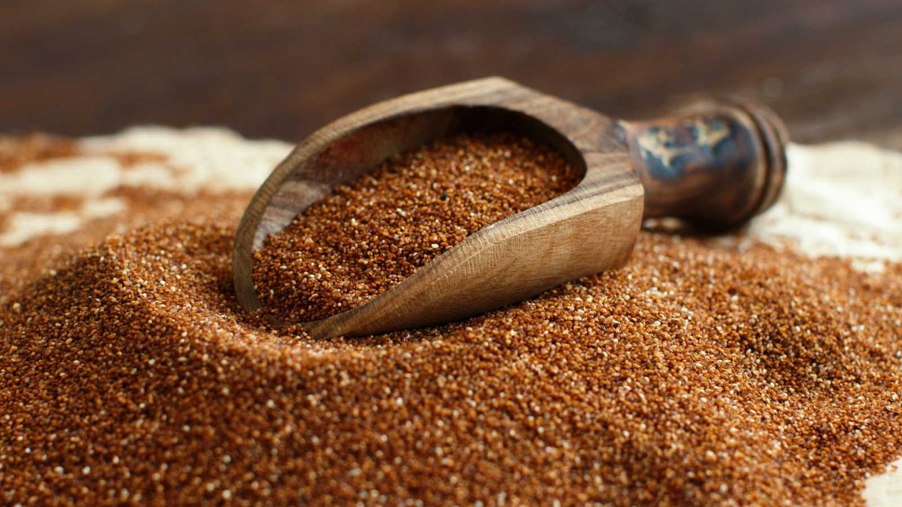 Teff Tohumu
