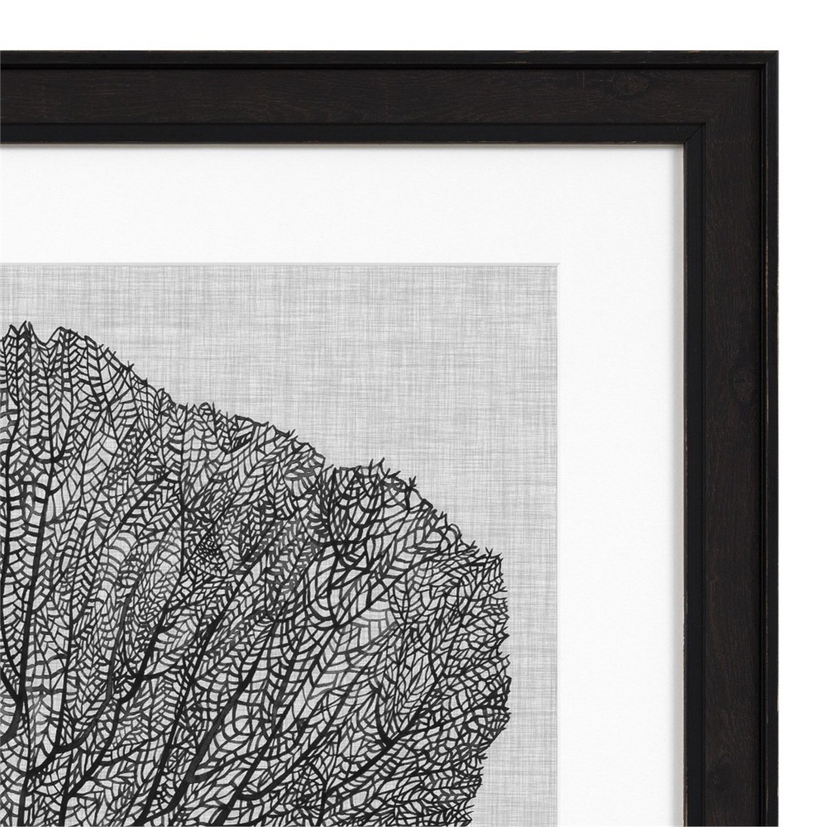 Eichholtz - Shadow Sea Fans 4'Lü Set Tablo