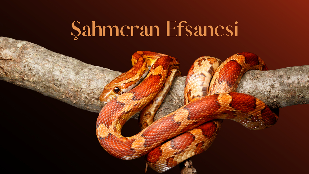 şahmeran efsanesi