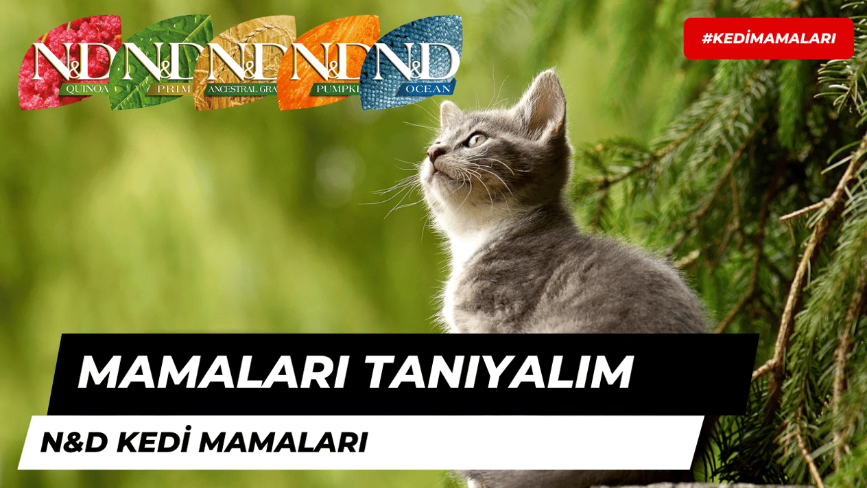 Mama Markalarını Tanıyalım: N&D Kedi Mamaları