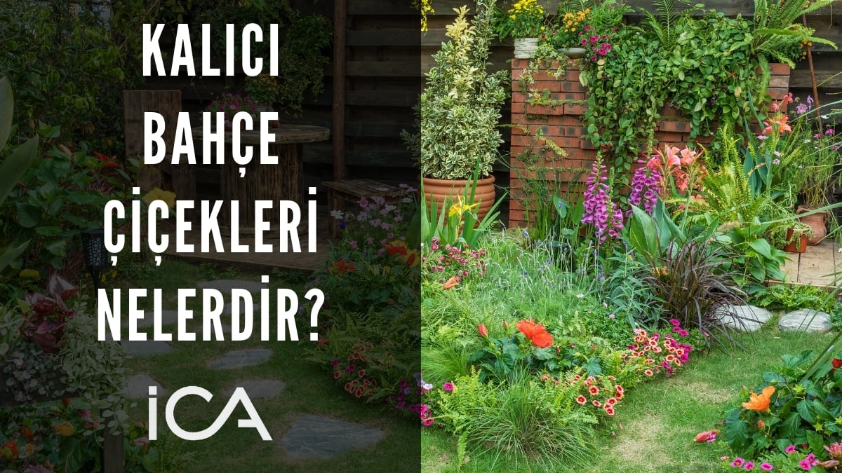 kalıcı bahçe çiçekleri nelerdir