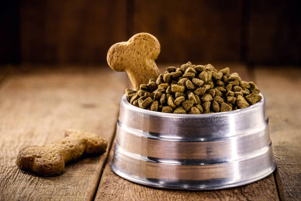 Köpek Şampuanı Nasıl Seçilmeli?