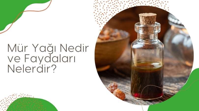 Mür Yağı Nedir?