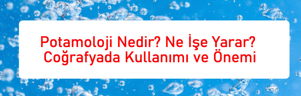 Potamoloji Nedir