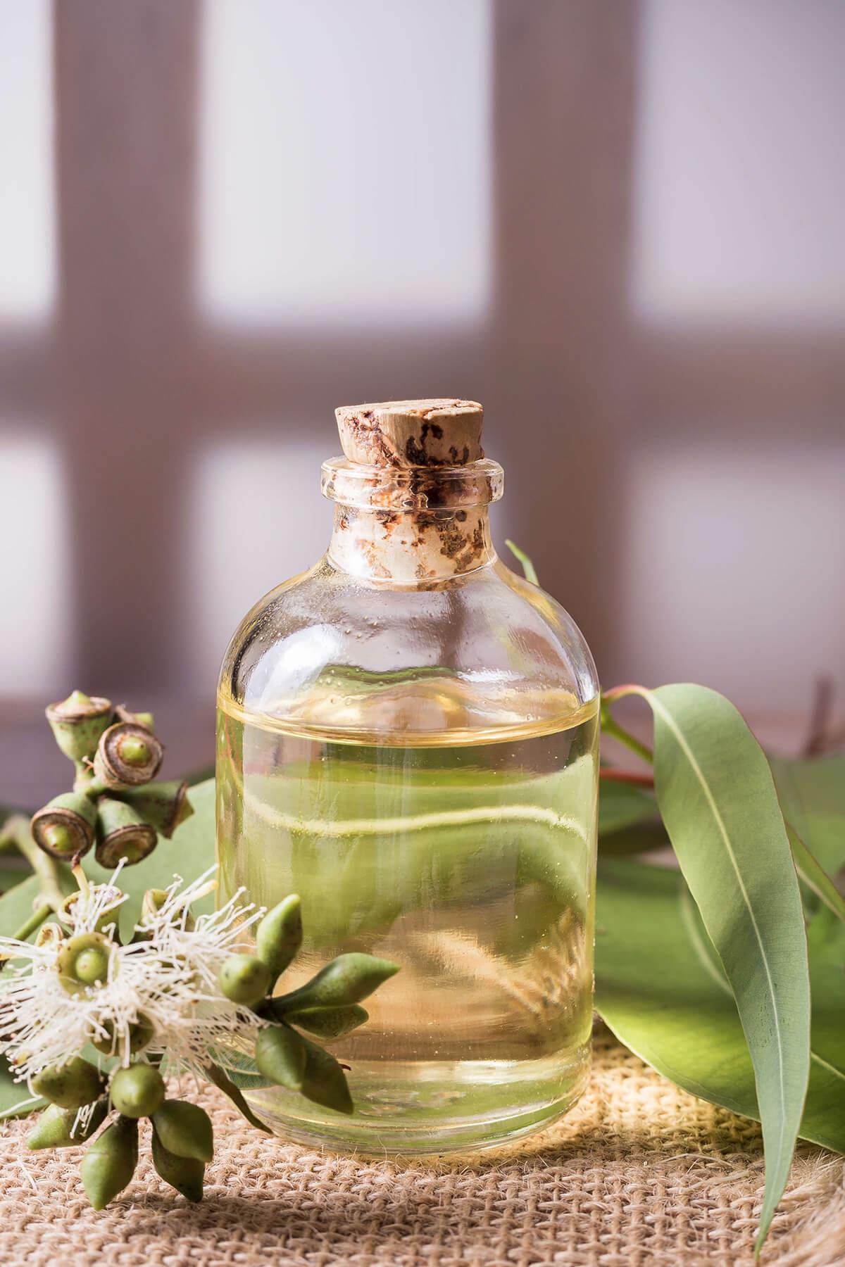 DEFNE YAĞI 30 ML