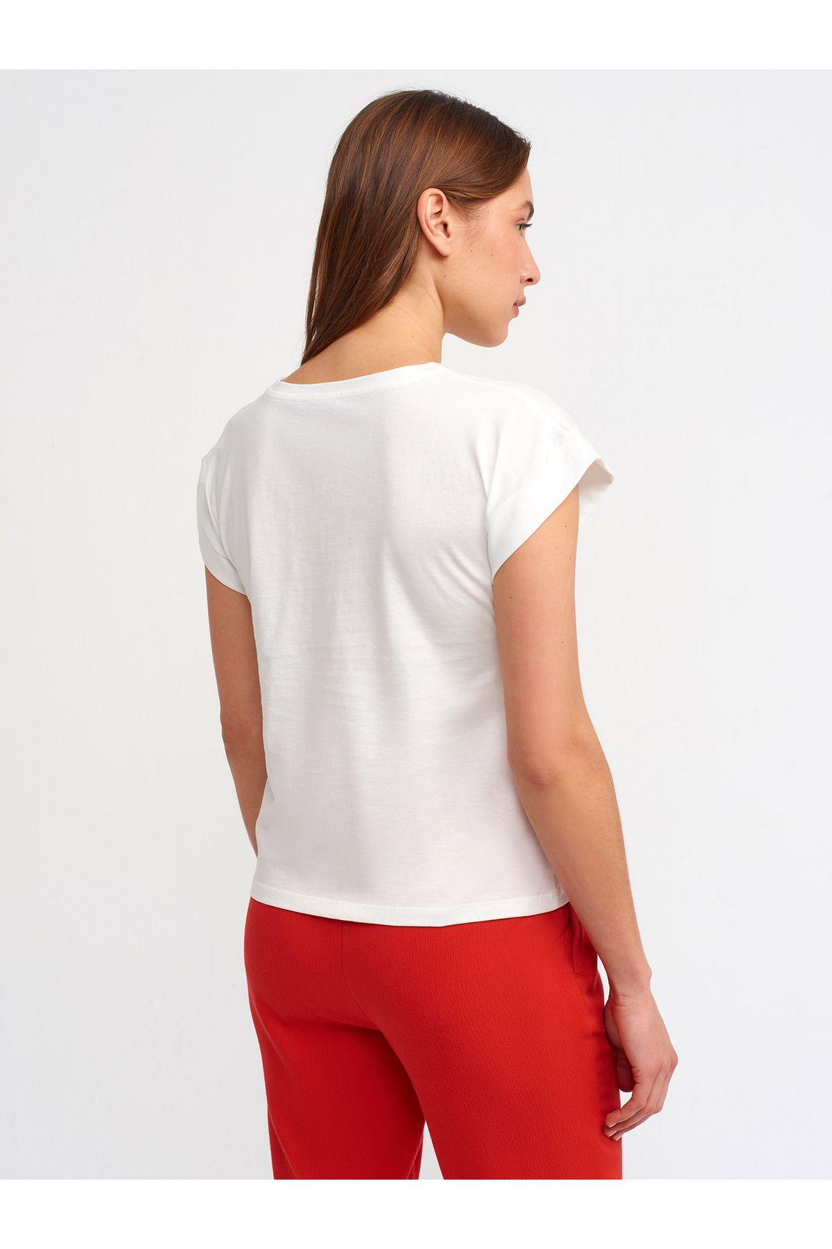 3504-bisiklet-yaka-pamuklu-t-shirt-ekr-4376-b.jpg