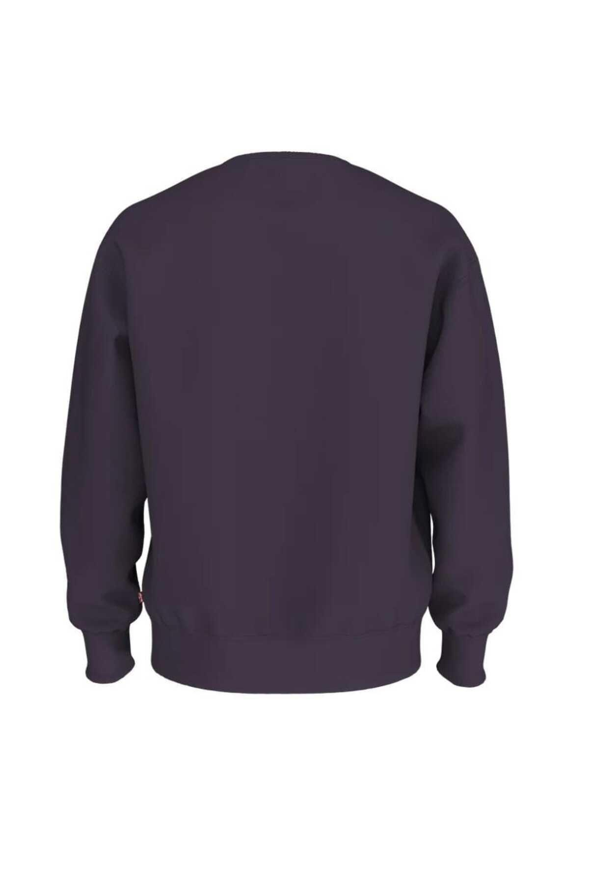 levis-relaxed-graphic-hoodie-38712-029-d5339c.jpg