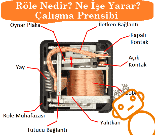 Röle Nedir? Ne İşe Yarar ve Çeşitleri Nelerdir? | Robocombo