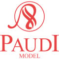 PAUDI MODEL