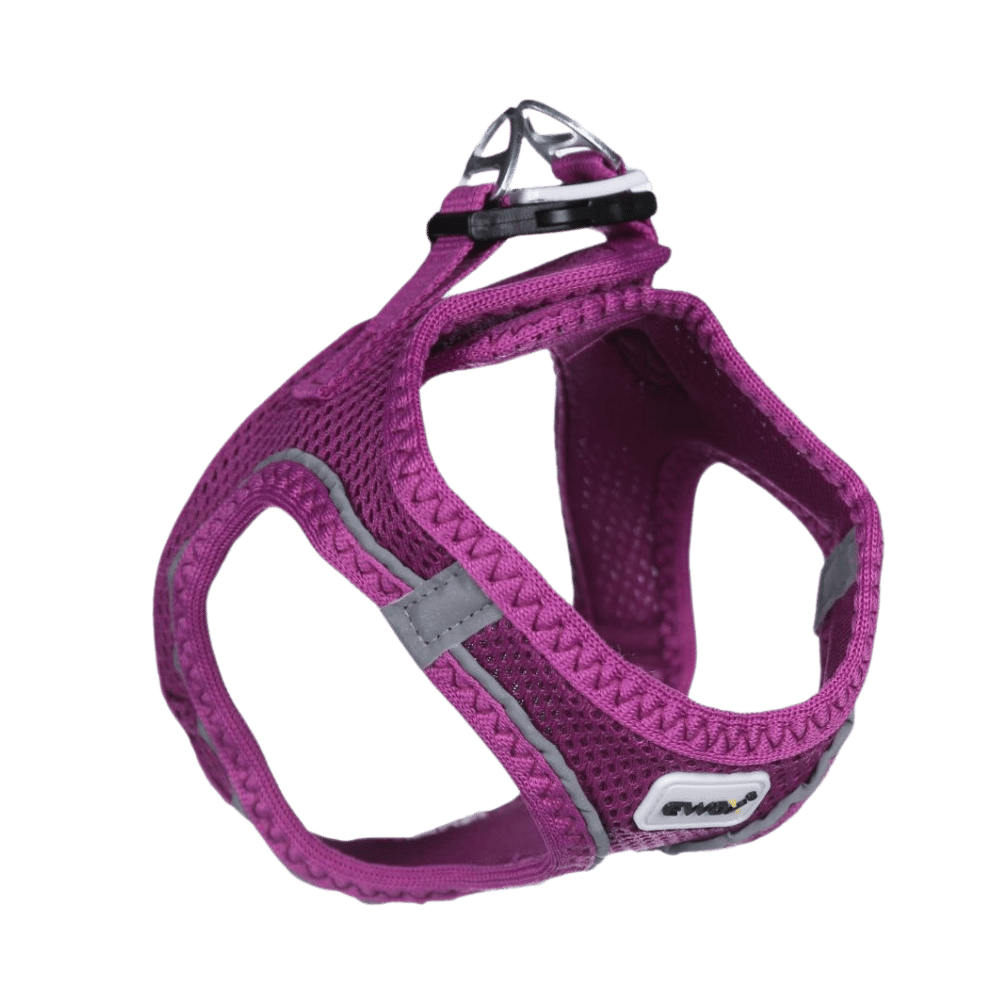 Ewox Air Mesh Mor Göğüs Tasması 2XS