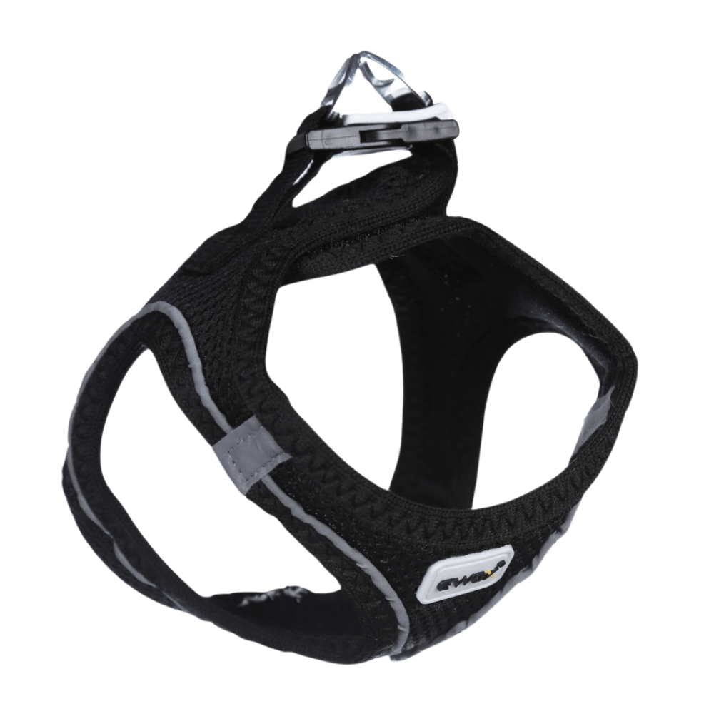 Ewox Air Mesh Siyah Göğüs Tasması 2XS