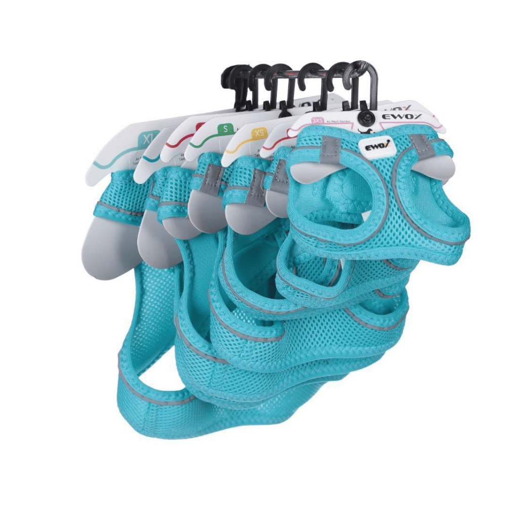 Ewox Air Mesh Turkuaz Göğüs Tasması L