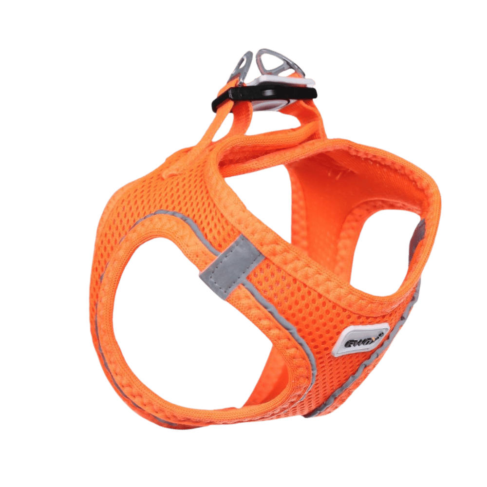 Ewox Air Mesh Turuncu Göğüs Tasması L