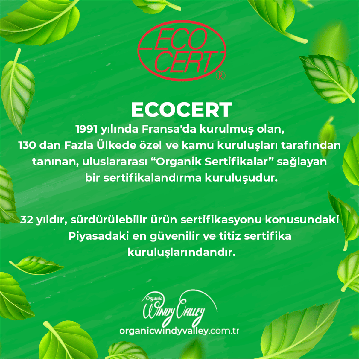 Organik Elma Konsantresi 325 gr 