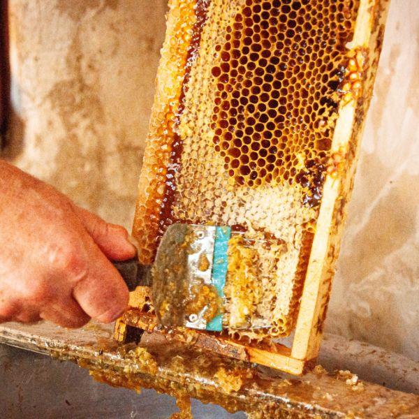 Organik Petek Balı (Çiçek balı) Ecocert Sertifikalı Tunceli Pülümür 