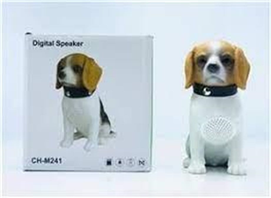 Chm-241 Köpek Bluettooh Müzik Çalar