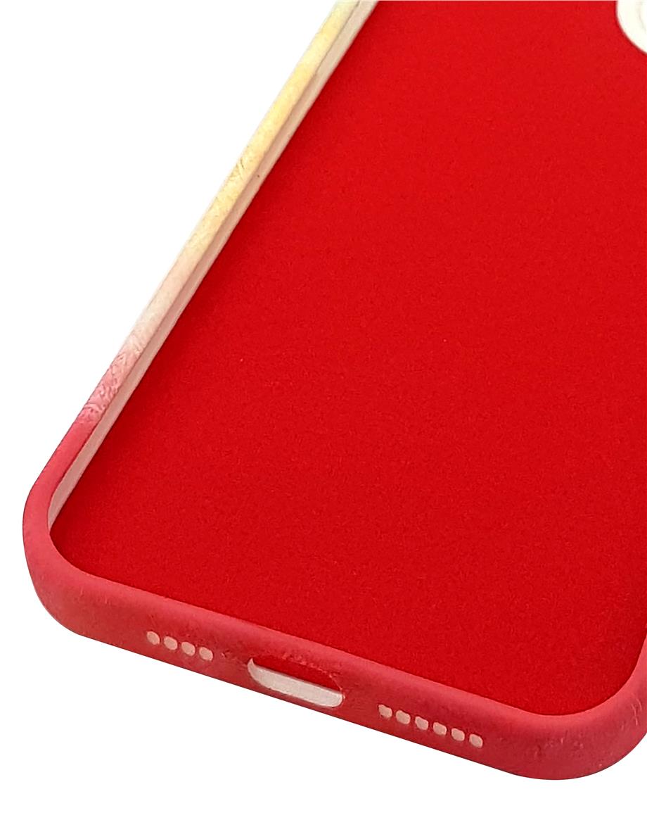 Picasso İphone 12 Pro max