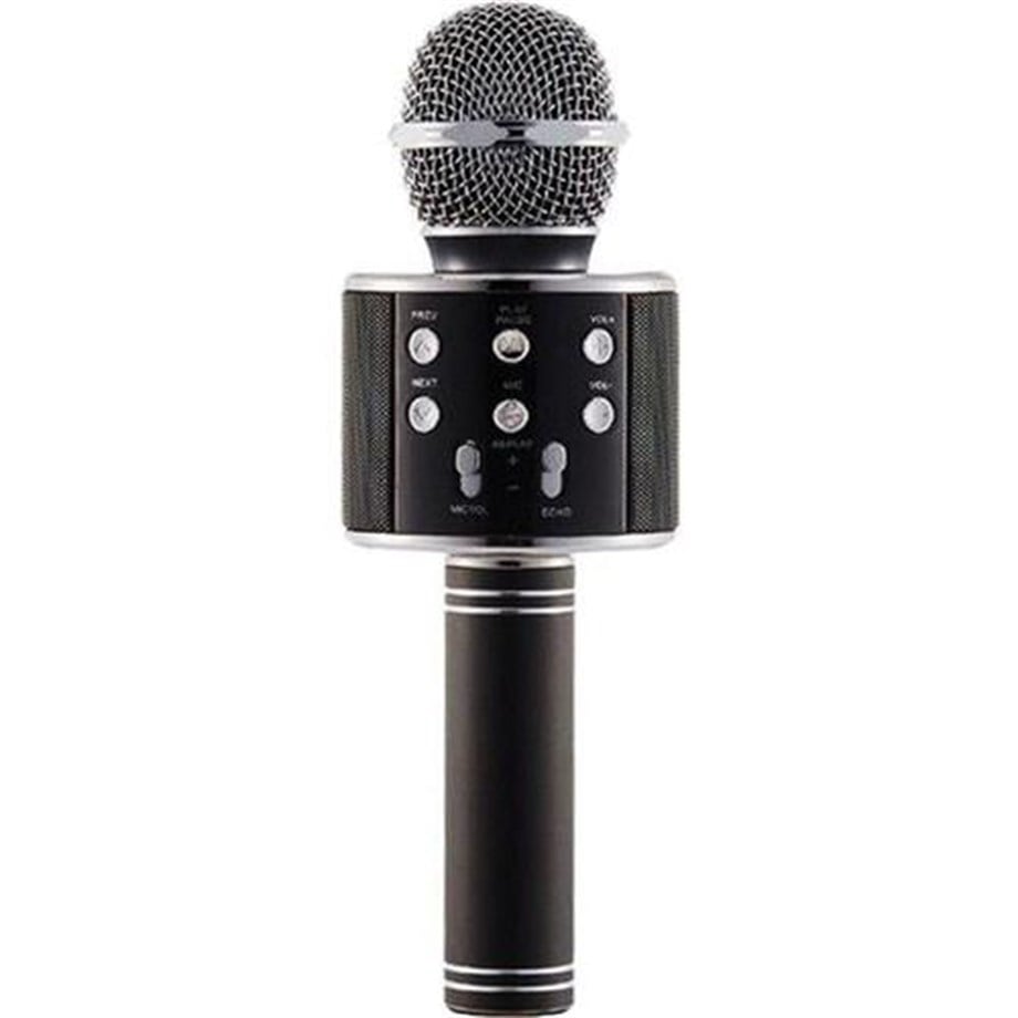 Ws-858 Karaoke Mikrofon