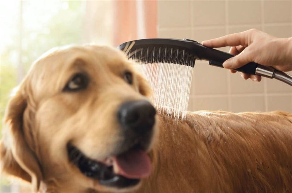 DogShower El Duşu Mat Siyah26640670
