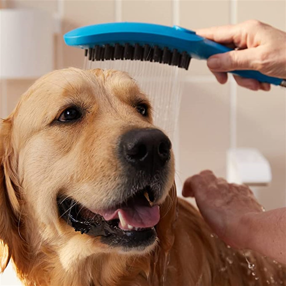 DogShower El Duşu Mavi26640540