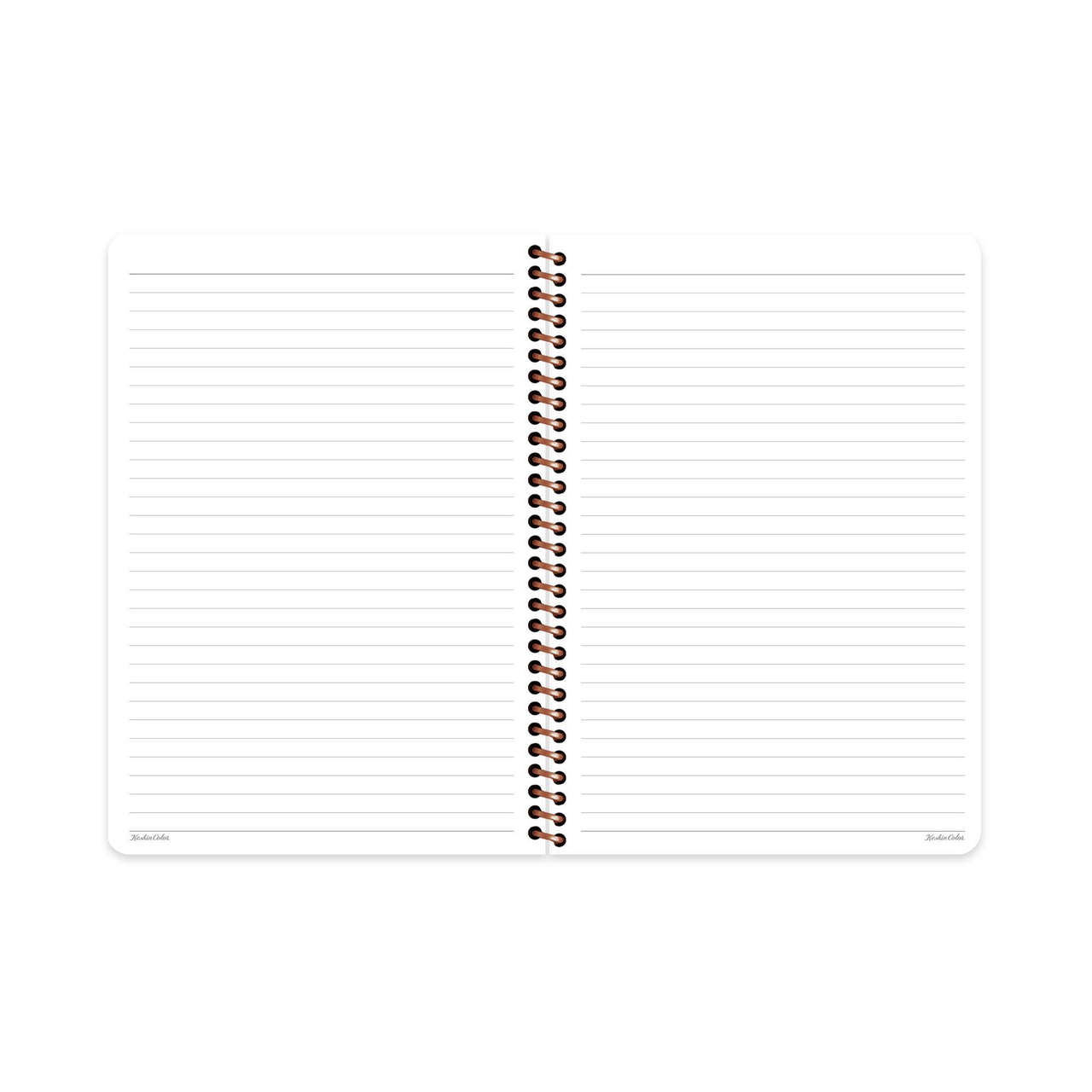 Çizgili Spiralli Sert Kapak Defter La Plume Balloon Turuncu 20x28