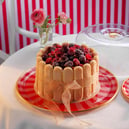 Schafer Pırıl Kek Fanusu-Kırmızı