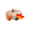 Schafer Home Pumpkin Supla 1 Parça-Turuncu