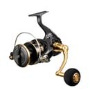 Ağır Abi Surf Seti: Ryuji Procasting 4.25m & Daiwa 23 BG SW 8000-P