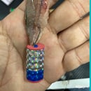 Kapsüllü Çinekop Sarıkanat Lüfer Yemli Takım