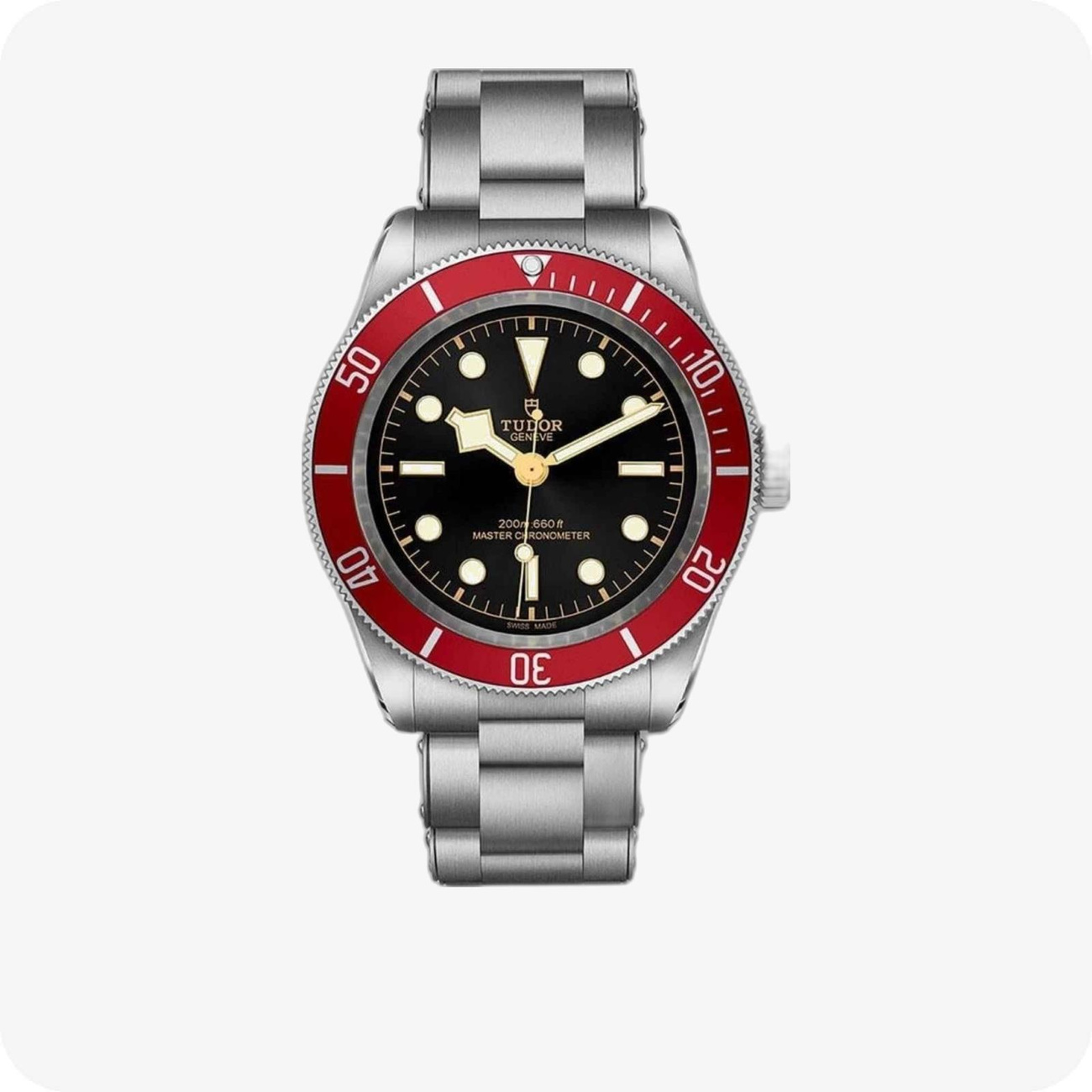 Tudor Black Bay  
