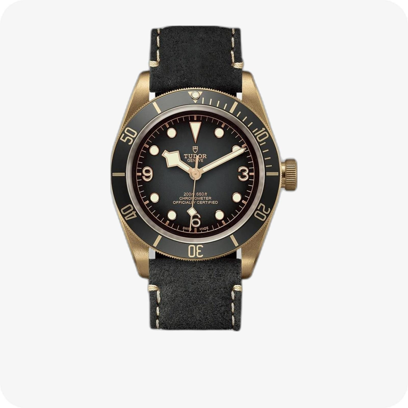 Tudor Black Bay Bronze