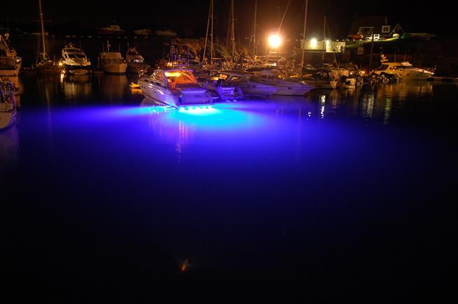 Bluefin Led Piranha P12 Su Altı Lambası 7250 Lümen Mavi Beyaz 12/24V