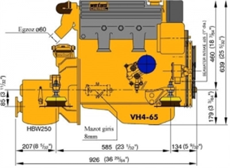 VH4-65