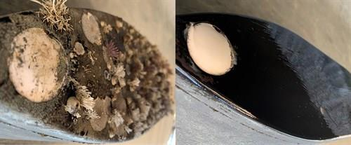 Foulfree transdüser koruyucu kit - 15ml.