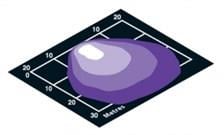 Hella Marine Kombine Pruva Feneri/Güverte Aydınlatma 24V-170W Siyah