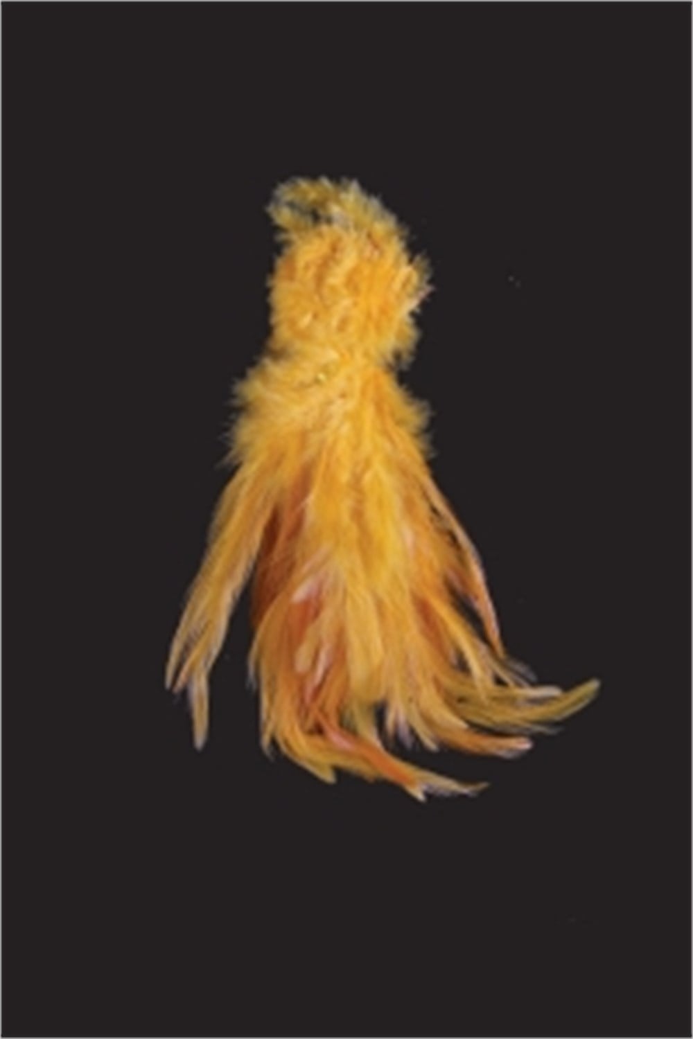 Natural Feather