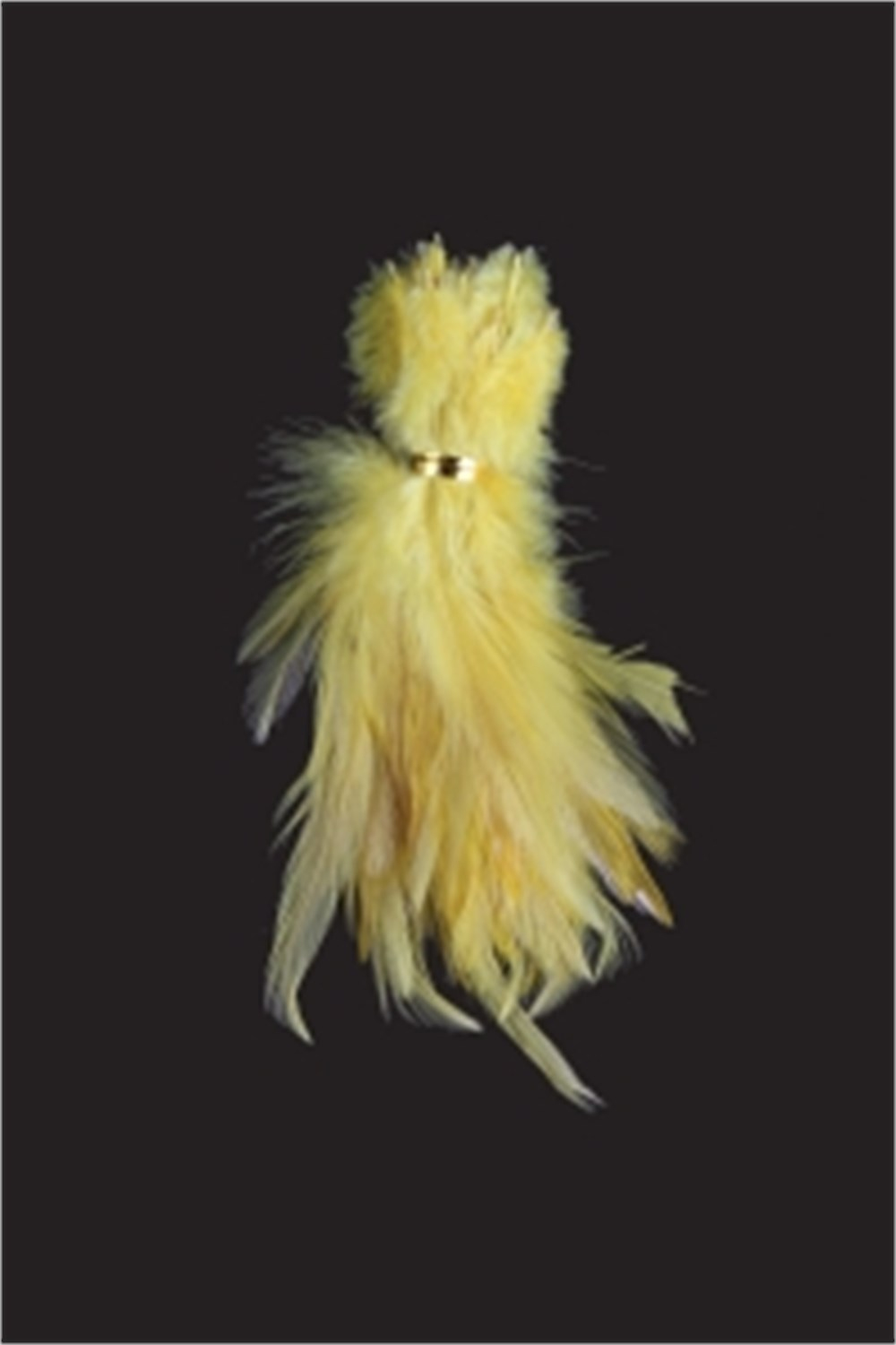 Natural Feather