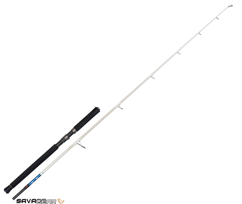 Savage gear Salt 1DFR Pop n Stıck 234cm 2 Parça