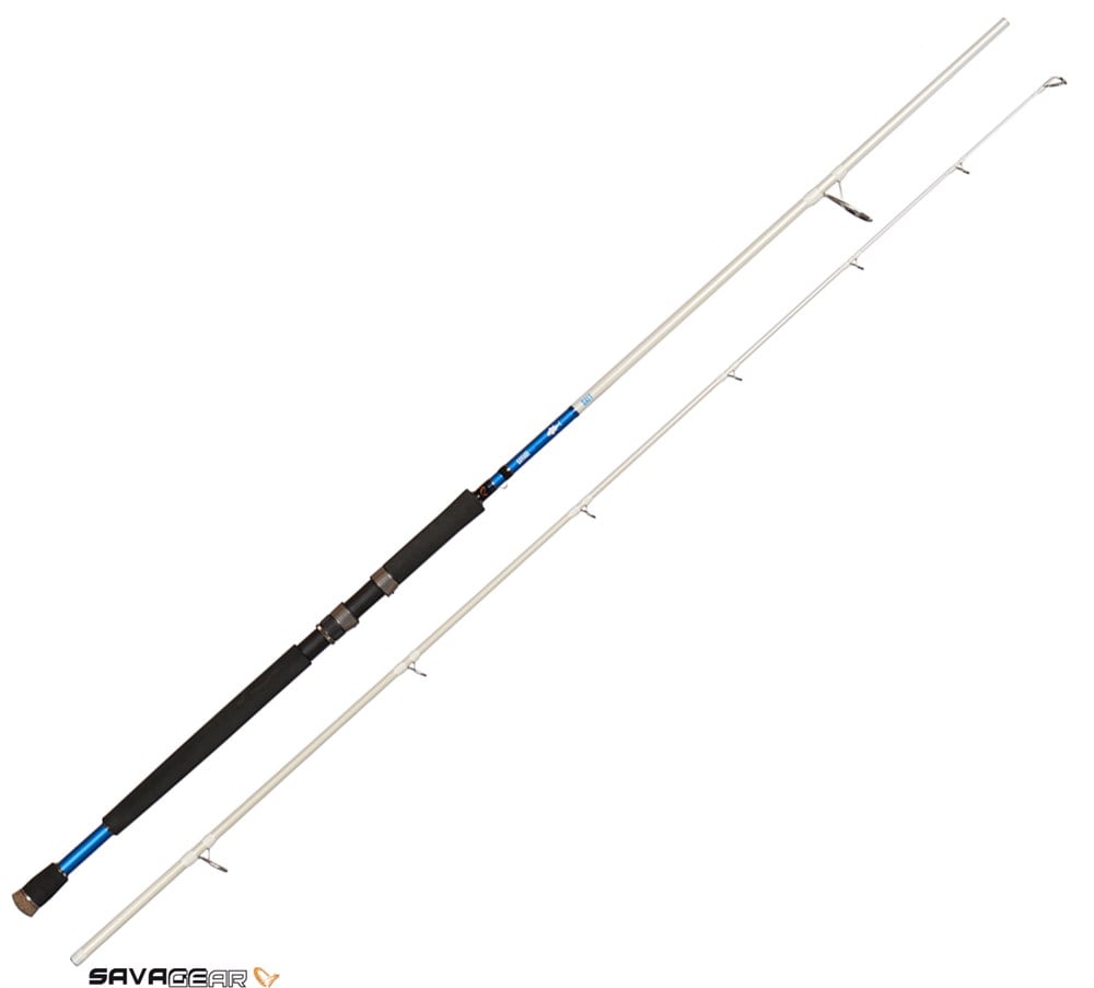 Savage gear Salt 1DFR Shore Jıggıng 274cm  40-80gr 2 Parça