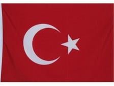 Türk Bayrağı 20x30 cm