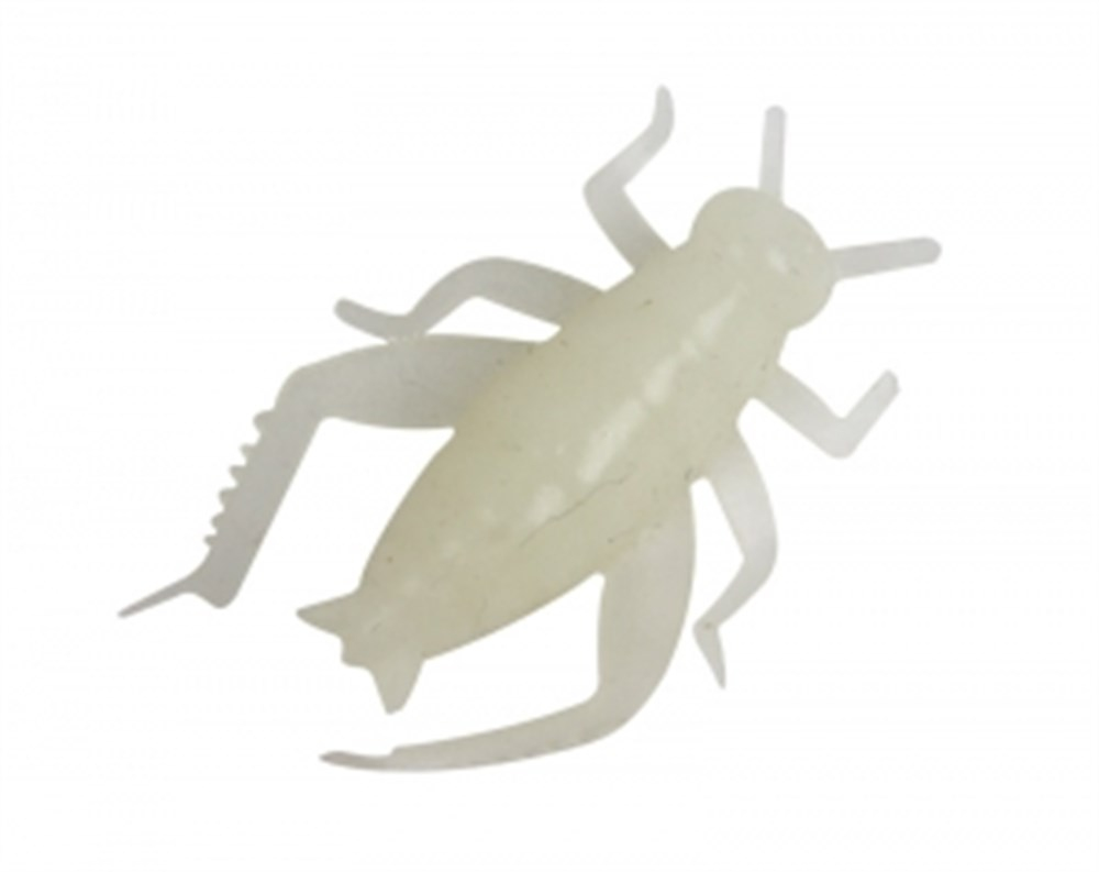 W066 Soft Beetle