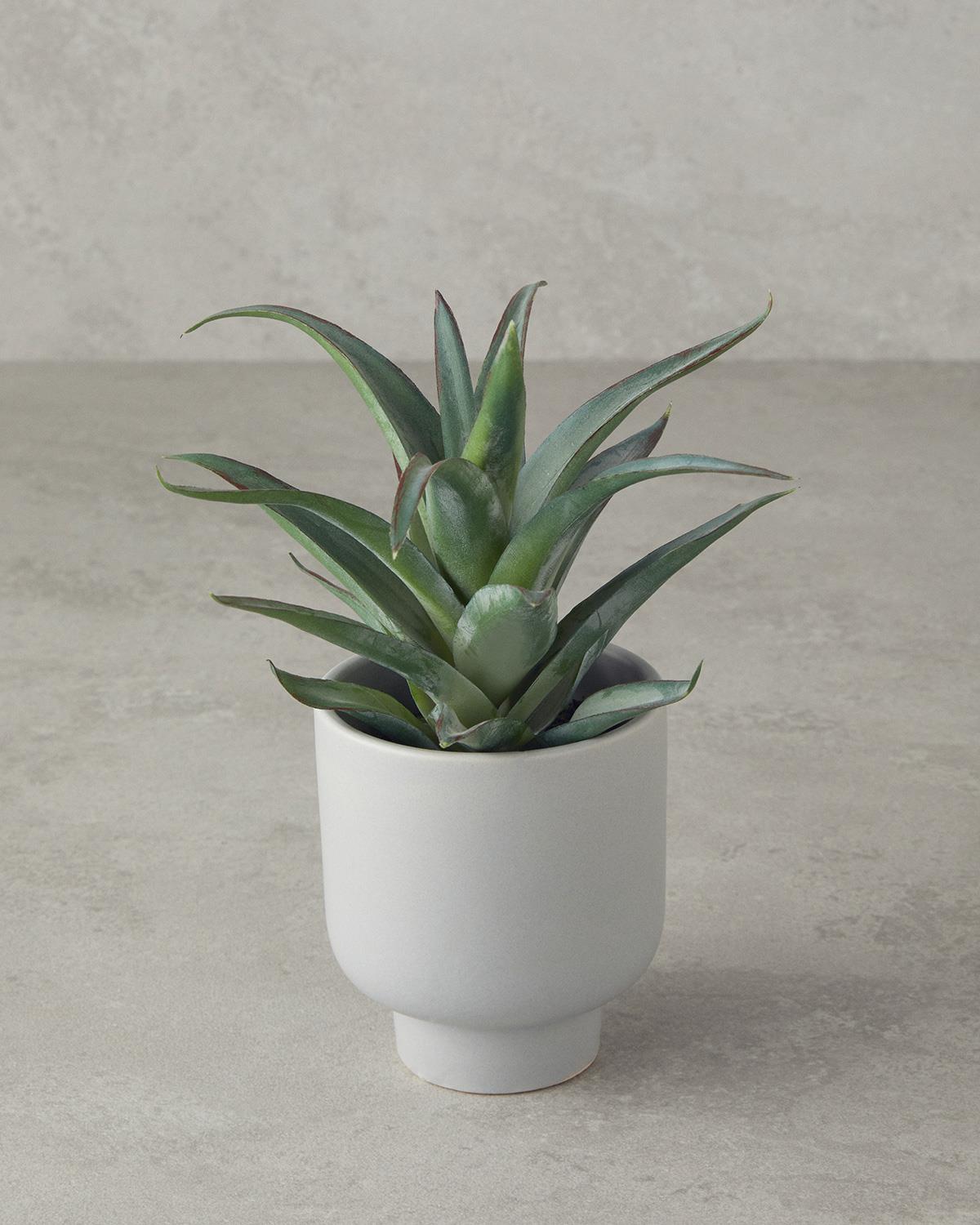 Aloevera Plastik Vazolu Yapay Çiçek Yeşil