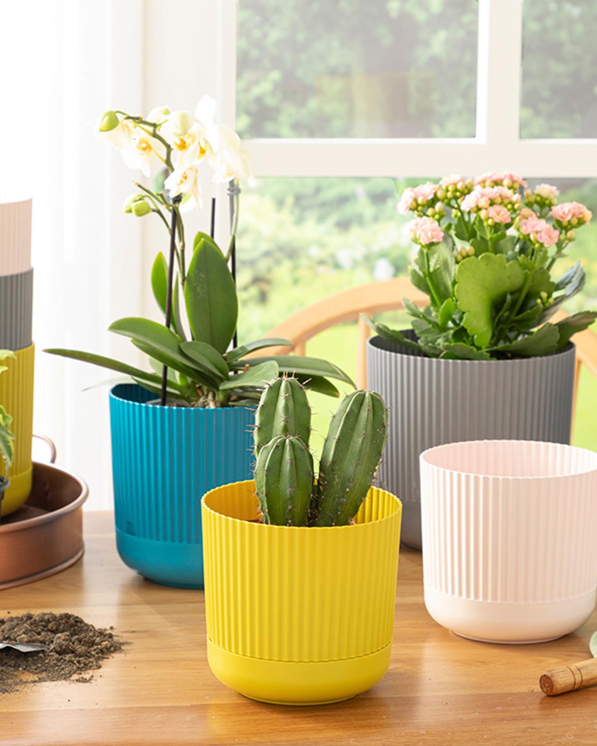 Bloom Plastik Saksı Zeytin Yeşili
