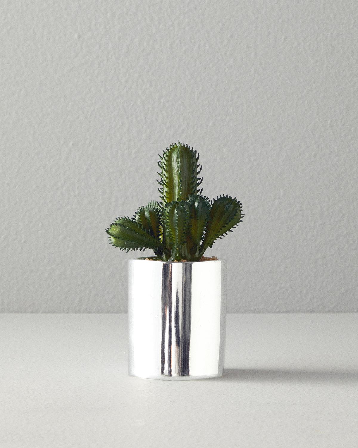 Cactus Vazolu Yapay Çiçek Silver