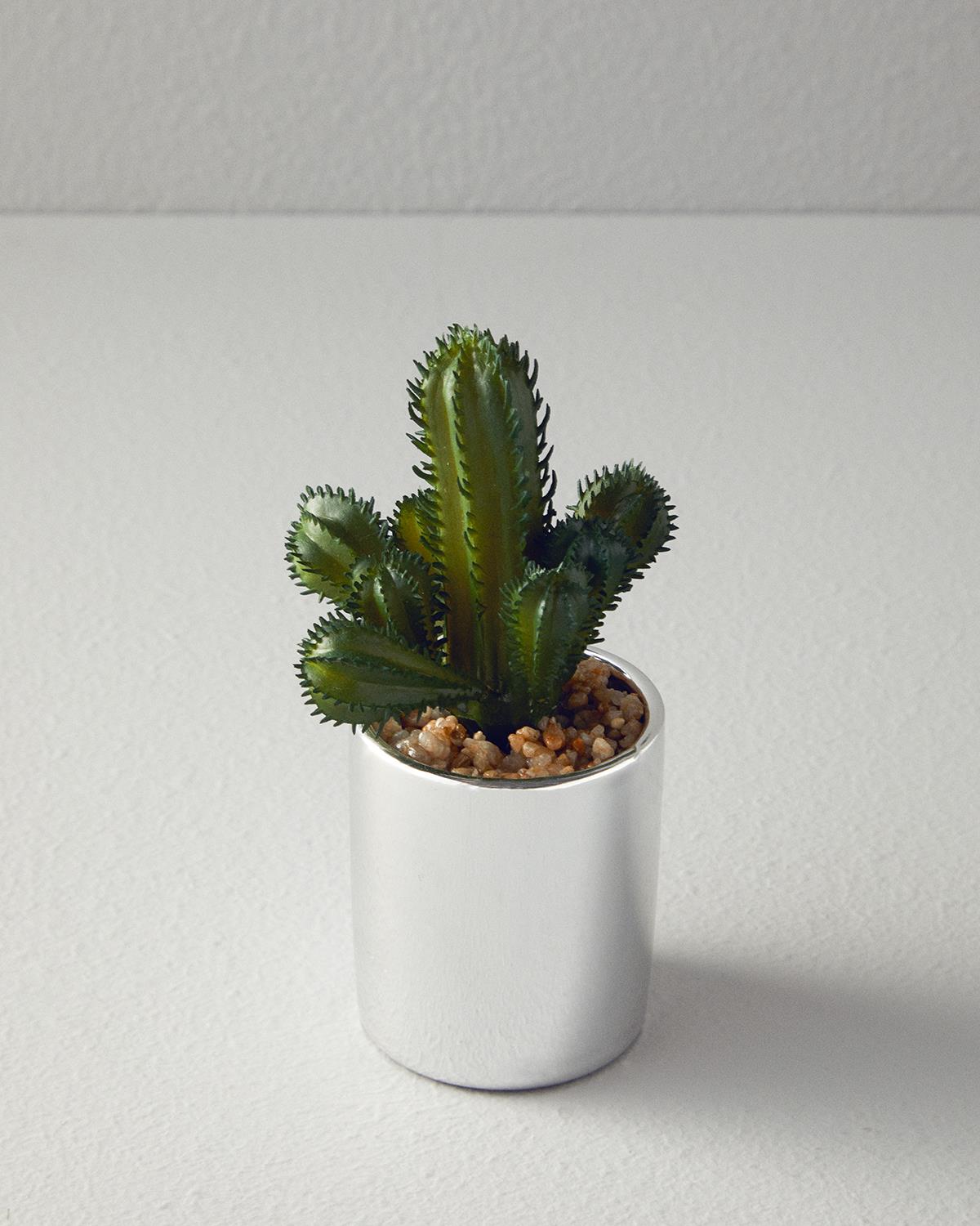 Cactus Vazolu Yapay Çiçek Silver