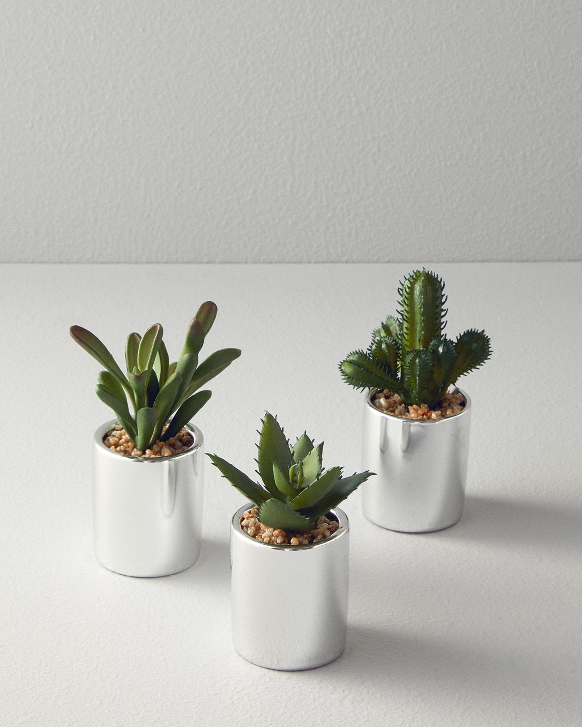 Cactus Vazolu Yapay Çiçek Silver