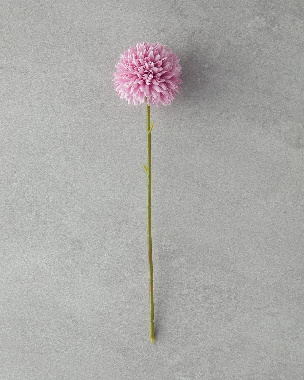 Dandelion Tek Dal Yapay Çiçek Gül Kurusu