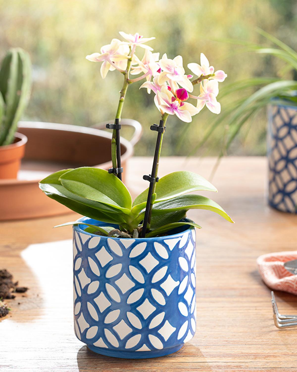 Garden Flowers Stoneware Saksı Lacivert