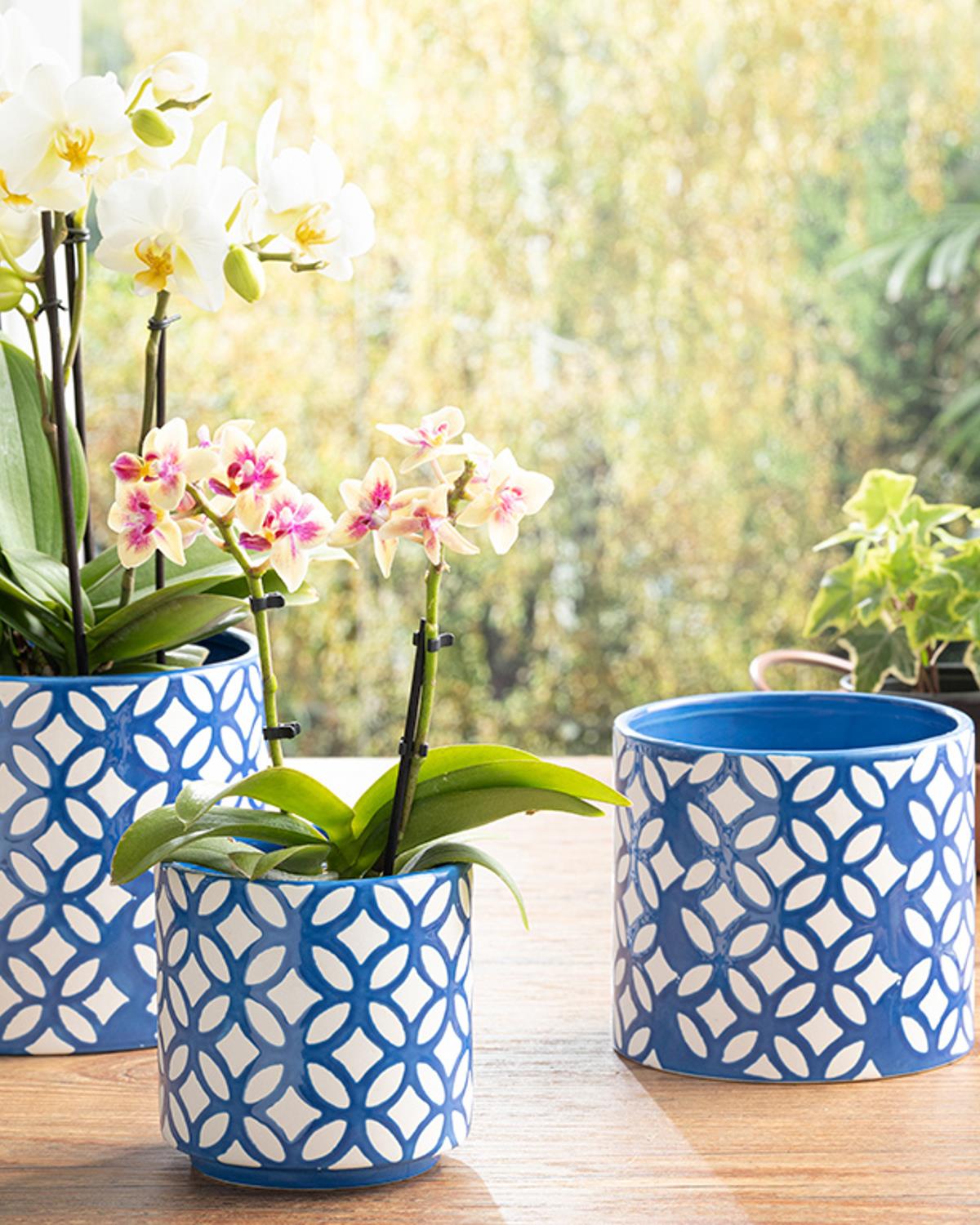 Garden Flowers Stoneware Saksı Lacivert